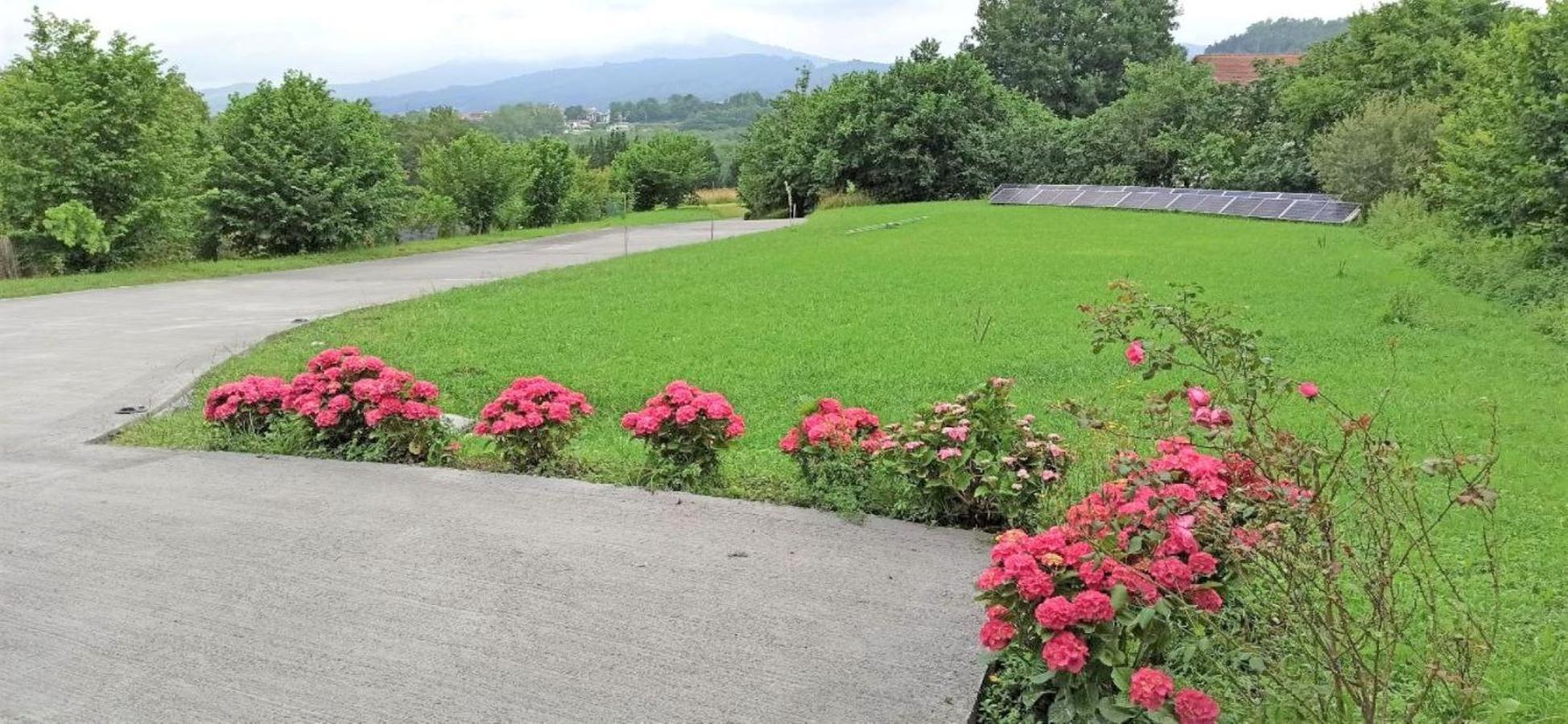 Mini Casa Con Jardin Villa Mungia Bagian luar foto